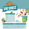 De Diez Perros Adultos x 15 kg