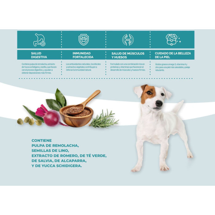 Más Características De Diez Perros Adultos x 15 kg