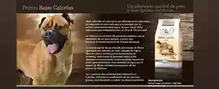 D_NQ_NP_710238-MLA76125872536_052024-O_1_11zon Yenú Perros Light x 10 kg