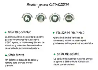 Yenú Perros Cachorros Mordida Pequeña x 10 kg