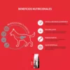 Can Active Perros Adultos x 20 kg