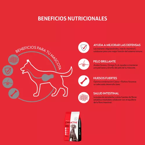 Can Active Perros Adultos x 20 kg