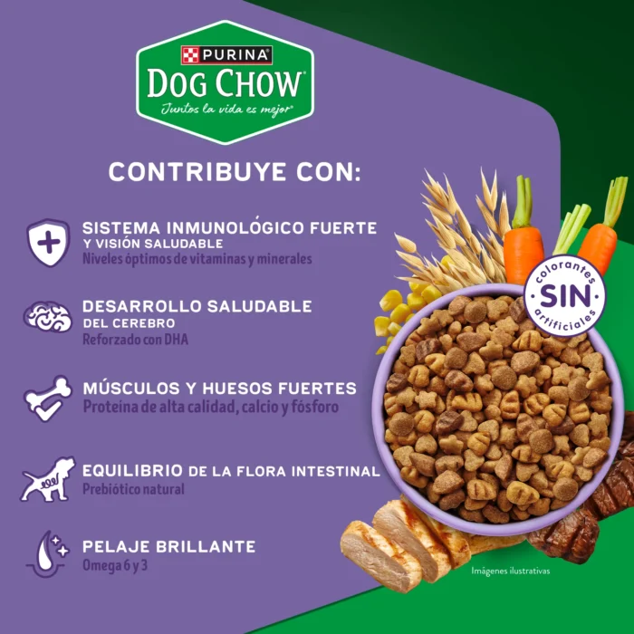 Diversity-econtent-Lacti-Minis-Peque copia.jpg Dog Chow Cachorros Minis y Pequeños x 21 kg