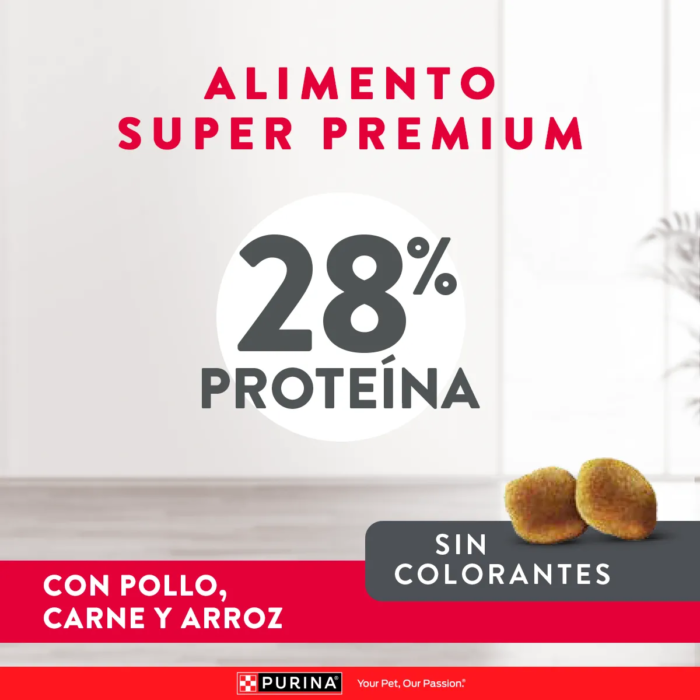 E-Content-Excellent_Perro_1Mesa-de-trabajo-17.png Excellent Pollo Puppy Razas Medianas y Grandes x 20 kg