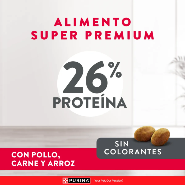 E-Content-Excellent_Perro_2Mesa-de-trabajo-10.png Excellent Reducido en Calorias x 15 kg