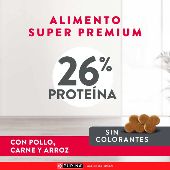 E-Content-Excellent_Perro_2Mesa-de-trabajo-3.png Excellent Senior x 15 kg