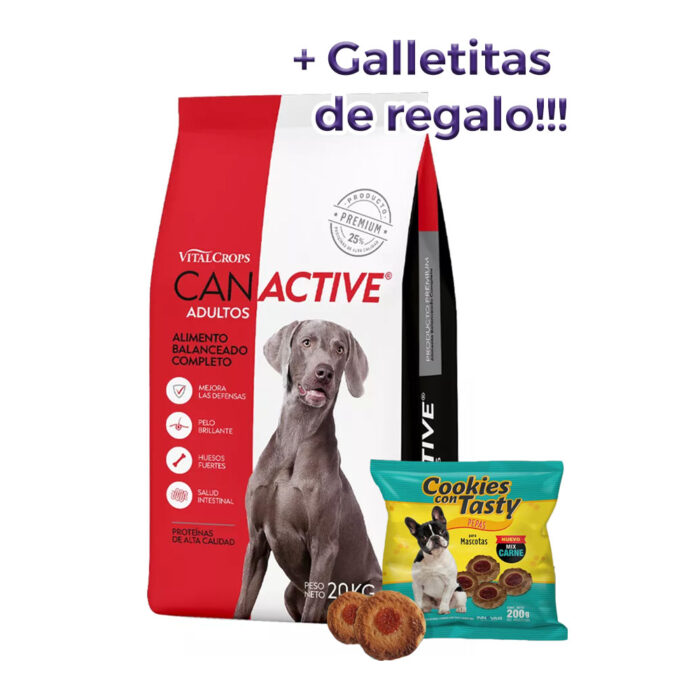 Can Active Perros Adultos x 20 kg