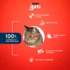 Gati Adultos Pescado x 15 kg
