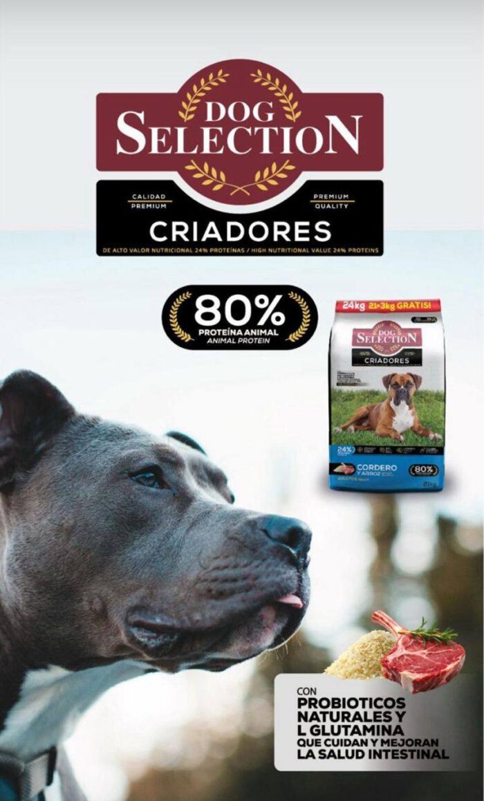 Dog Selection Criadores Cordero y Arroz x 21+3 kg