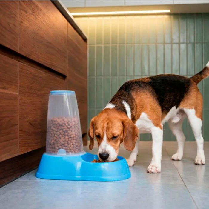 Comedero Dispenser con tolva dosificadora
